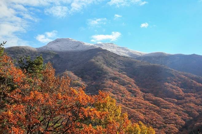 겨울과 가을의 조화 (구례=연합뉴스) 11일 오전 전남 구례군 지리산 국립공원에 첫눈에 내려 24번 군도에서 바라본 종석대의 설경과 단풍이 가을과 겨울 계절의 경계를 한 장면으로 보여주고 있다. 2021.11.11 [전남 구례군 제공. 재판매 및 DB 금지] pch80@yna.co.kr/2021-11-11 14:42:03/ <저작권자 ⓒ 1980-2021 ㈜연합뉴스. 무단 전재 재배포 금지.>