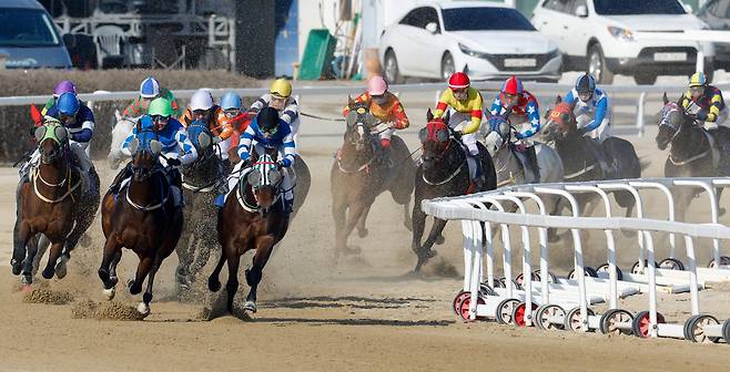 15일 경기 과천 렛츠런파크 서울에서 열린 ‘제24회 세계일보배 대상경주’에 출전한 경주마들이 결승선을 향해 역동적인 레이스를 펼치고 있다. 유희태 기자