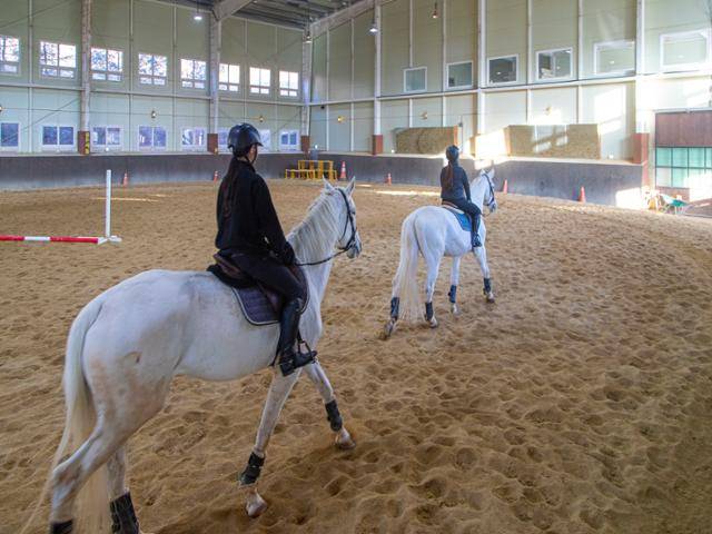경기 양평군 곤들쌔들 승마클럽. 경기관광공사 제공
