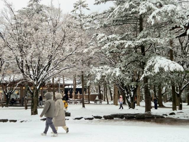 ▲ 설날을 하루 앞둔 16일 강원 속초시 설악동 설악산국립공원 일원에 눈이 쌓여 있다.     이날 강릉, 동해, 삼척, 양양, 속초, 고성 등 강원 산간과 동해안을 중심으로 많은 눈이 내렸다. 연합뉴스