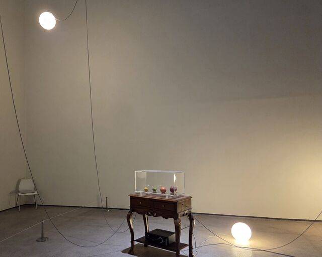 과일의 수분으로 빛과 소리를 조절하는 유코 모리의 ‘분해’