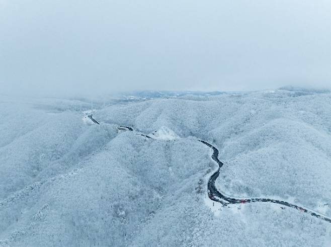 강원 강릉시가 2026~2027 강릉 방문의 해를 맞아 2월 여행지로 추천한 대관령 옛길. 강릉시 제공