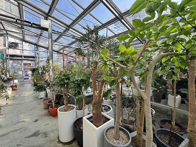 대전에 2013년 최초로 생긴 '화분병원' [촬영 강수환]