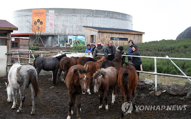 조랑말박물관 [연합뉴스 자료사진]