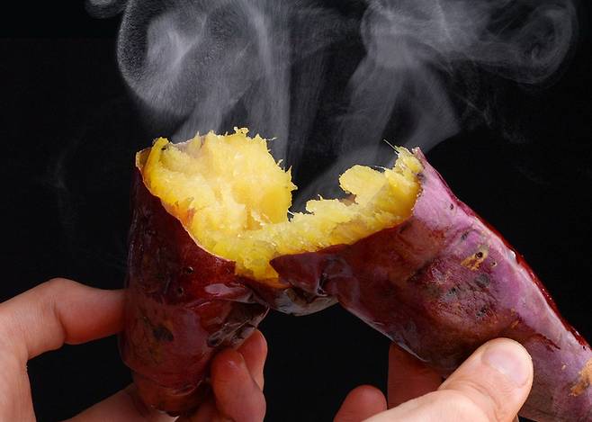 섬유질이 풍부한 고구마를 껍질채 먹으면 대장암을 예방하는 데 도움이 된다. 사진=게티이미지뱅크