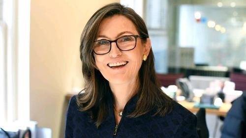 캐시 우드 아크 인베스트 최고경영자(CEO) [사진 = 페이스북 캡쳐]