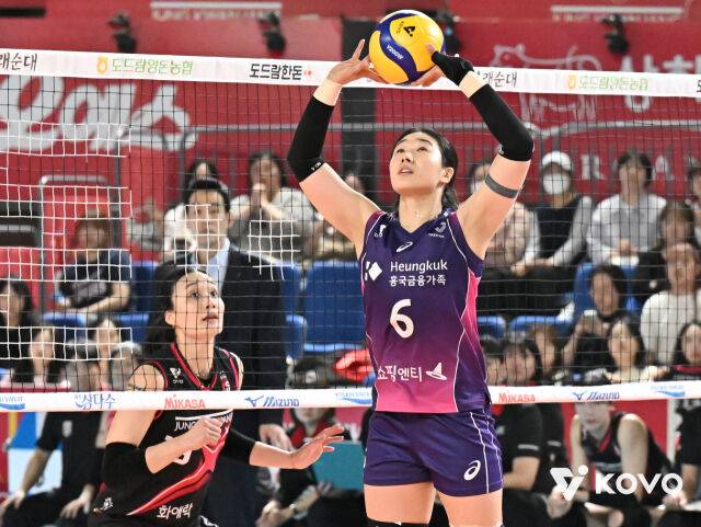 지난 시즌의 이고은./KOVO