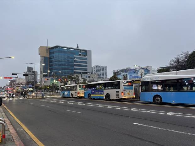 16일 제주도 제주시 이도2동 제주시청 거리. 제주=강도림 기자