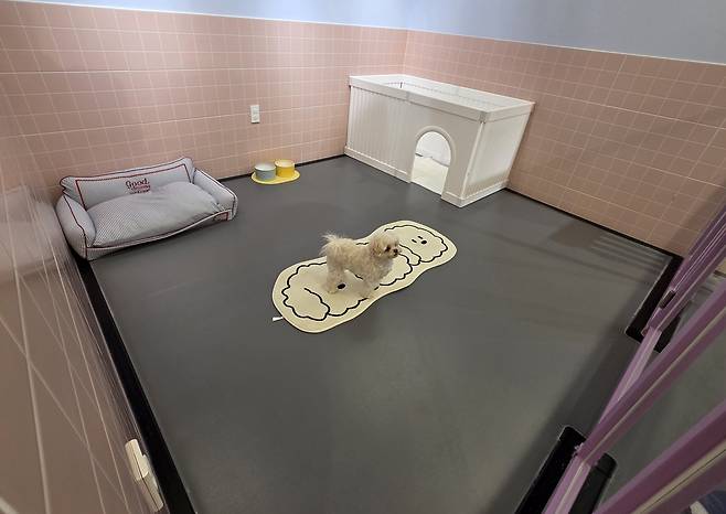 청주 애견호텔 촬영 천경환 기자