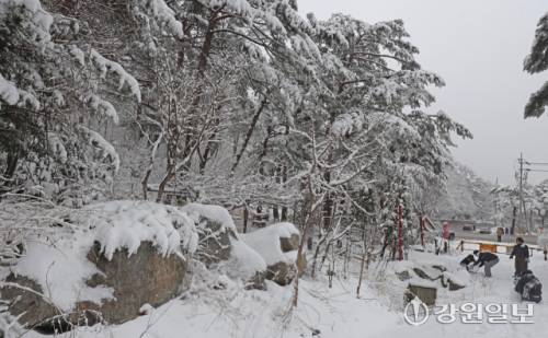 메마른 동해안 지역에 10cm 안팎의 많은 눈이 내린 지난 16일 강릉시 성산면 옛영동고속도로 주변에 설경이 펼쳐져 귀성객들이 추억을 남기고 있다. 대설특보가 발효된 동해안과 산지에 시간당 1~3㎝, 최대 10㎝의 눈이 내려 대부분 지역에 내려진 건조특보가 53일만에 해제됐다 강릉=권태명기자