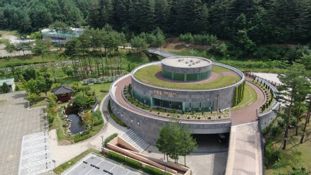 금강송에코리움. 매일신문DB