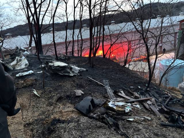 16일 봉화읍 한 양계농장 인근에서 발생한 화재로 주변 임야와 시설 일부가 불에 그을린 모습. 봉화군 제공
