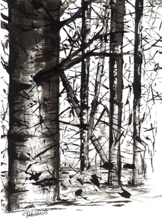 심재숙 作 '11월의 자작나무숲'. (재료=잉크, 재활용재료)