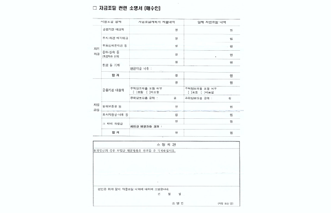 자금조달 관련 소명서 양식./자료=독자제공