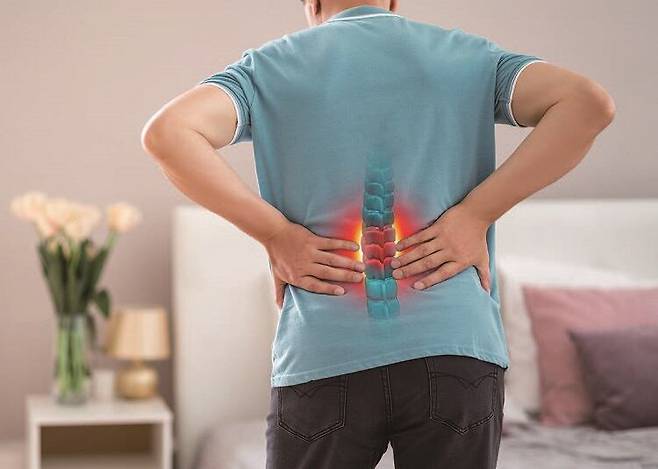 /사진 셔터스톡