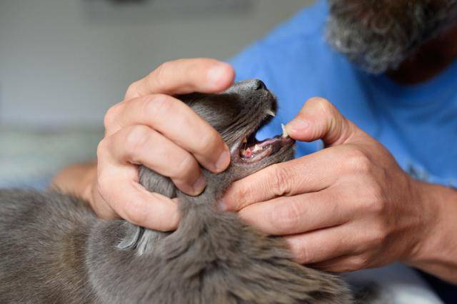 게티이미지뱅크