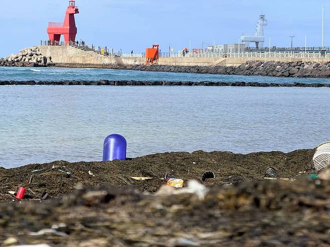 이달 9일 오후 제주시 이호해수욕장과 해안 등을 뒤덮은 괭생이모자반. 최충일 기자