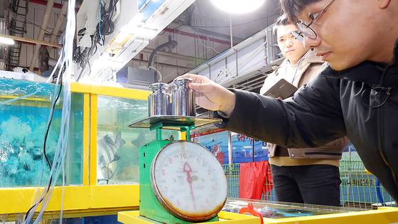 A joint inspection team from the Namdong District Office inspects plate-style scales at Sorae Port Comprehensive Fish Market in Namdong District, Incheon. [YONHAP]