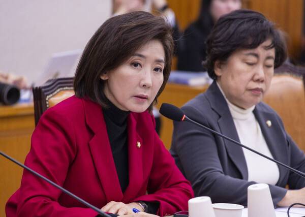 국민의힘 나경원 의원이 13일 국회에서 열린 법제사법위원회 법안심사제1소위원회 3차 상법 개정안 공청회에 참석해 의사 진행 발언을 하고 있다. 연합뉴스