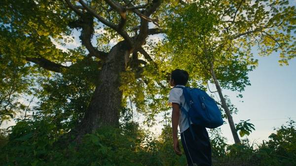 영화 <나무의 노래> 장면. /갈무리