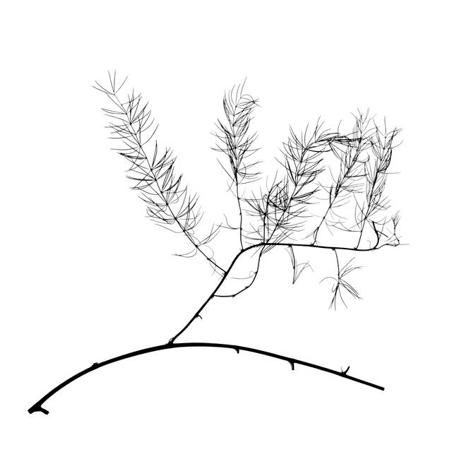 주재범 작, '_존재의 형태'. 아트스페이스 루모스 제공