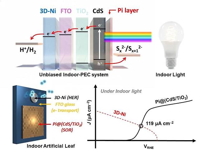 유니스트 연구진이 개발한 실내조명용 수소 생산 인공 나뭇잎의 구조와 성능./유니스트
