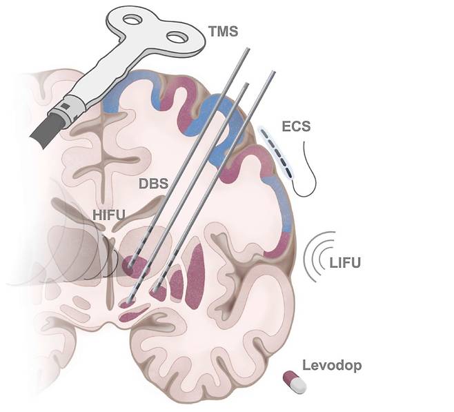 사진/ 네이처지 갈무리