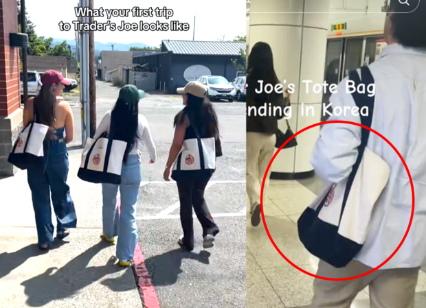 한국서도 인기를 끌고 있는 미국 대형 식료품 마트 체인 트레이더 조(Trader Joe’s)의 미니 캔버스 토트백. SNS 캡처