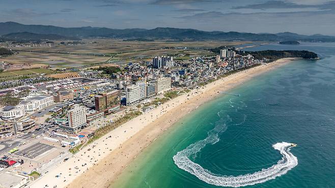 보령 대천해수욕장 전경. 해양관광도시 보령을 대표하는 관광 명소로, 고향사랑기부제 답례품과 지역 홍보 자원으로 활용되고 있다. ⓒ보령시 제공