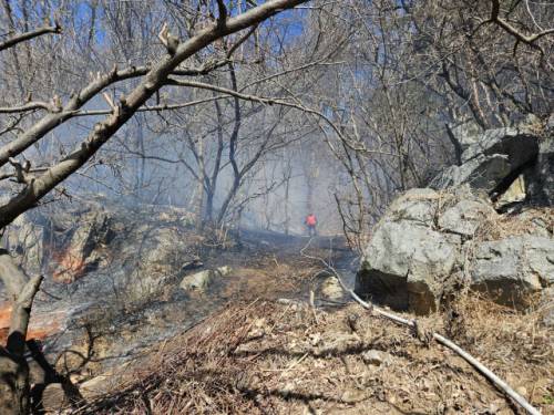 ◇강원도소방본부에 따르면 지난 17일 12시10분께 원주시 판부면 서곡리의 한 야산에서 화재가 발생했다. 사진=강원특별자치도소방본부 제공