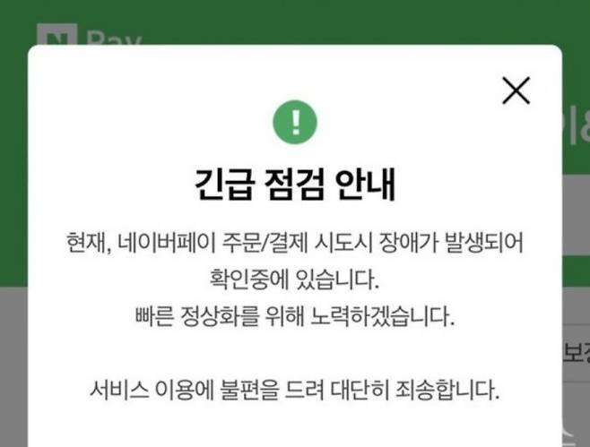 네이버페이 점심시간 대란…4시간 넘게 결제 오류(출처=네이버페이)