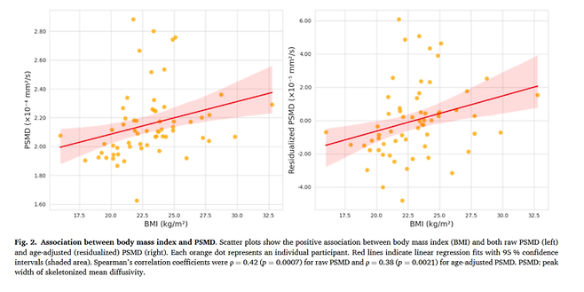 그림 2. BMI와 PSMD의 관계 BMI가 높을수록 PSMD 수치도 함께 증가하는 경향을 보여준다. 이는 체중이 증가할수록 뇌 백질의 미세한 구조 변화가 커질 수 있음을 의미한다. 사진=해운대백병원