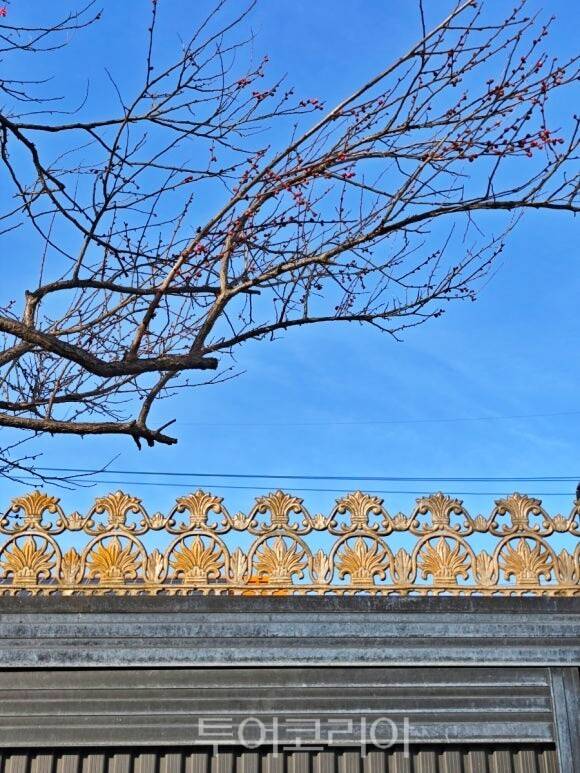 순천시 조곡동 관사마을/사진-순천시