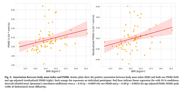 ▲BMI와 PSMD의 관계. BMI가 높을수록 PSMD 수치도 함께 증가하는 경향을 보여준다. 이는 체중이 증가할수록 뇌 백질의 미세한 구조 변화가 커질 수 있음을 의미한다. 해운대백병원 제공