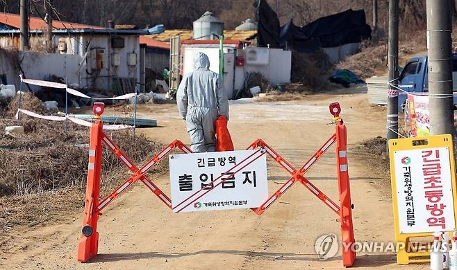 20일 아프리카돼지열병(ASF)이 발생한 경기도 평택시 한 돼지농장에서 관계자들이 출입을 통제하고 있다. 연합뉴스
