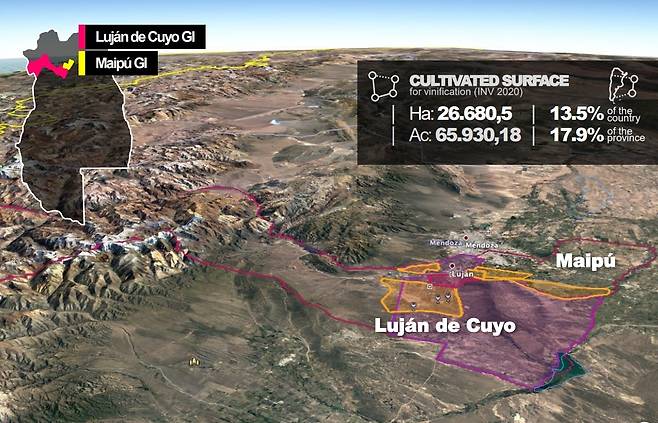 루한 데 쿠요와 마이푸 위치와 포도밭 면적. 아르헨티나와인협회