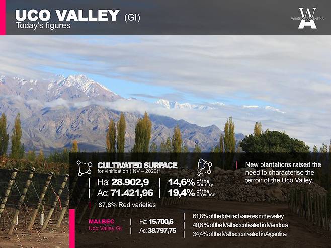 우코밸리 현황. 아르헨티나와인협회