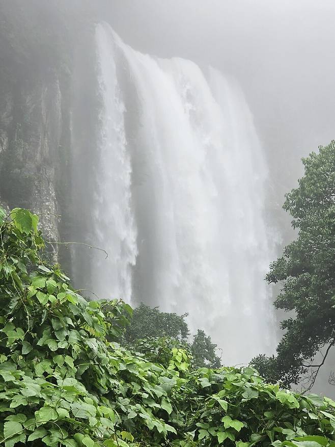 큰 비가 올 때 장관을 이루는 서귀포 '엉또폭포' 전경 ⓒ시사저널 박태진