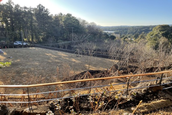 서귀포시가 하반기 기후대응 도시숲 2단계 조성사업을 펼칠 '엉또공원' 전경 ⓒ서귀포시 제공