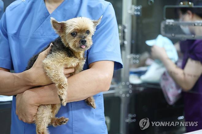 [연합뉴스 자료 사진. 본 기사와 직접 관련 없음]