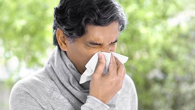 하비갑개 기능이 떨어지면 코 점막 기능이 약화되고 비염 증상이 만성화될 수 있다 | 출처: 클립아트코리아