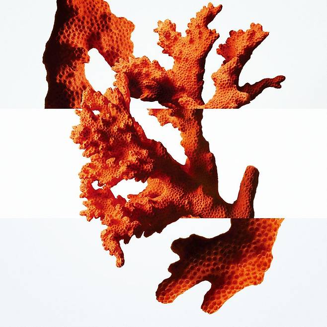 이국적인 티아레 꽃향기에 타마누 열매, 산호 어코드, 미네랄 노트를 더한 운 자르뎅 수 라 메르 오 드 뚜왈렛, 30ml 11만2천원, 50ml 16만5천원, 100ml 24만5천원, Hermès.