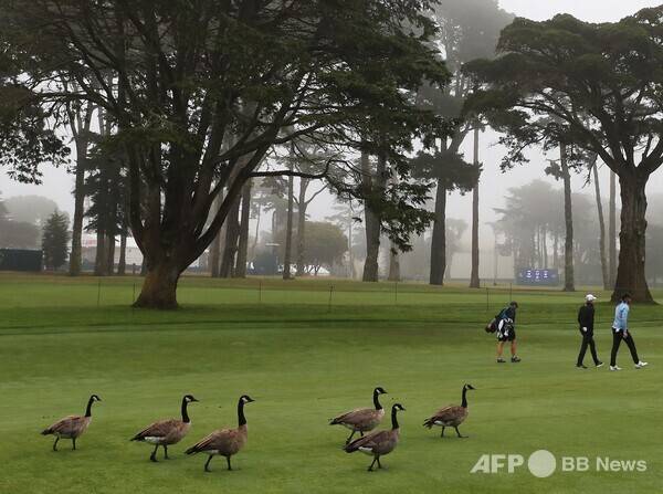 사진은 칼럼 내용과 관련 없습니다. 프로골프 대회가 열리는 경기장의 모습이다. 사진제공=ⓒAFPBBNews = News1 (사진을 무단으로 사용하지 마십시오)