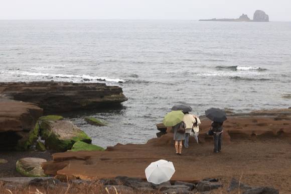 10일 오전 제주 서귀포시 안덕면 사계리 해안을 찾은 관광객이 우산을 들고 바닷가 정취를 즐기고 있다. 2026.2.10  [사진=연합뉴스]