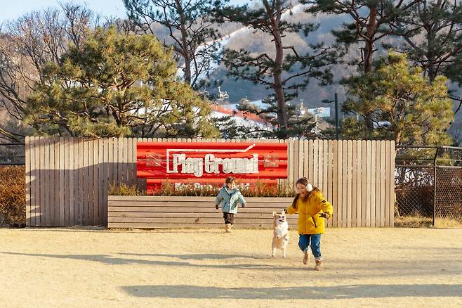 업계는 펫 트래블을 단기 유행이 아닌 반려동물을 가족으로 인식하는 소비자 인식 변화가 만들어낸 구조적 시장으로 보고 있다. 소노인터내셔널 제공