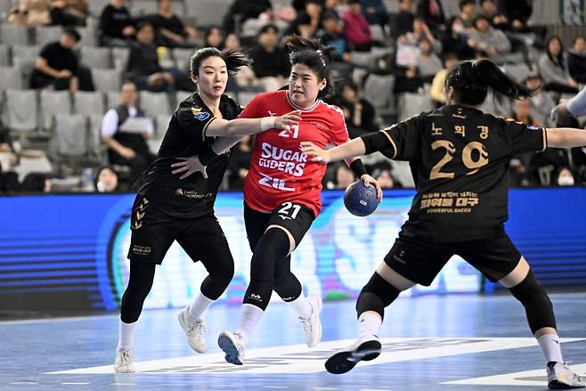 21일 대구시청과 경기에서 공격을 시도하는 SK 최지혜 [한국핸드볼연맹 제공. 재판매 및 DB 금지]
