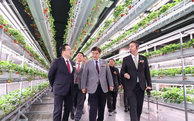 대전시는 20일 둔산동에 위치한 둥지 폐지하보도를 활용한 실증형 스마트팜 '대전팜' 개장식을 열었다. 사진제공은 대전시