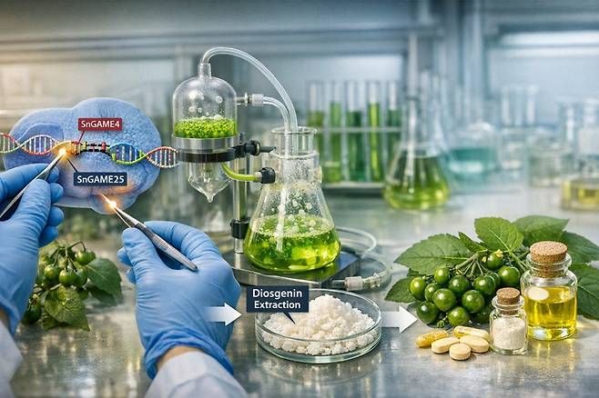 까마중 연구이미지(AI 생성 이미지)