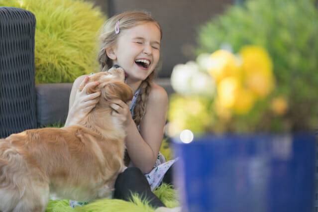 자원을 과도하게 채굴하는 것처럼, 반려견에게서 치유의 감정을 계속 끌어내는 구조로 이어지는 관계는 위험할 수 있다.<BR>(제공=클립아트코리아)