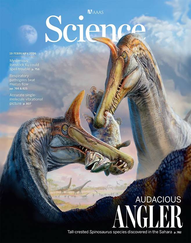 Science 제공